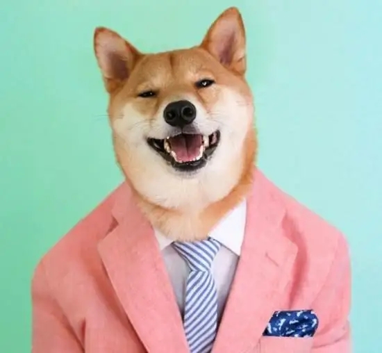 头像